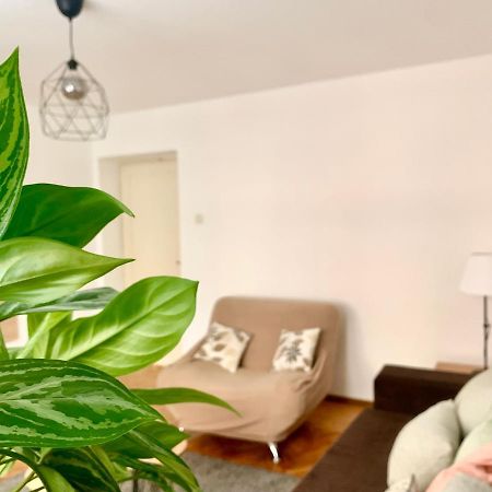 Star Apartment 2 Βελιγράδι Εξωτερικό φωτογραφία